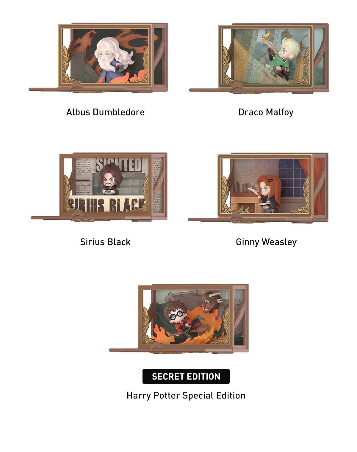 HARRY POTTER HOGWARTS BIOGRAPHICAL SERIES
