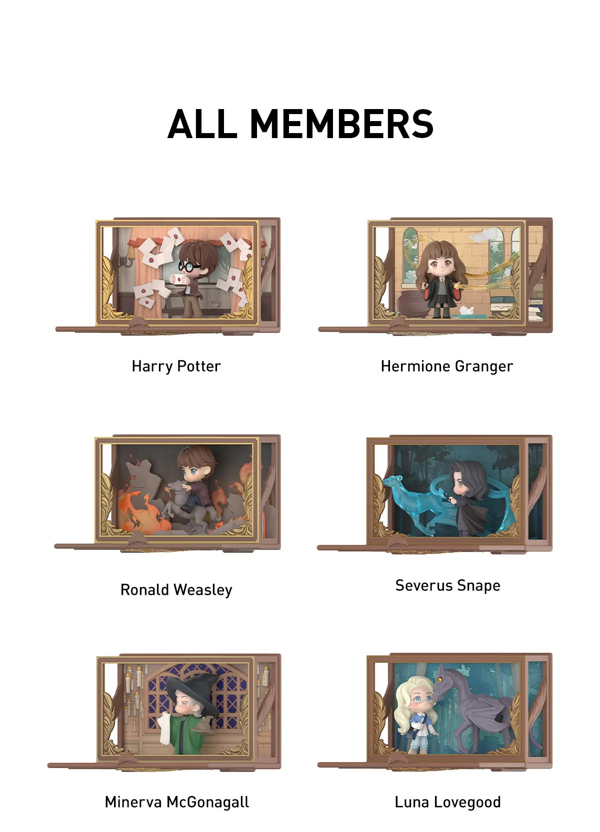 HARRY POTTER HOGWARTS BIOGRAPHICAL SERIES