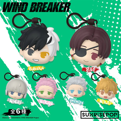 [ORDER ON REQUEST] SUNRISEPOP WIND BREAKER Squeeze Toy Blindbox (Random)
